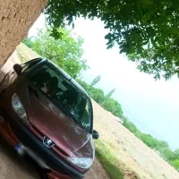 ماشین۲۰۶