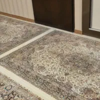 قالی سلیمان به تعداد ۶ تخته|فرش|زنجان, |دیوار