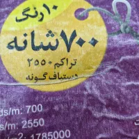 2عدد فرش پایار 9متری|فرش|لاهیجان, گلستان|دیوار