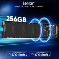 256 NM620 M2 2280 PCIe 3.0 NVMe SSD