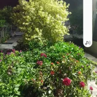جویای کارم