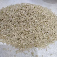 فروش برنج تازه چمپا دانه درشت وسنگین و خوش عطر|خوردنی و آشامیدنی|لردگان, |دیوار