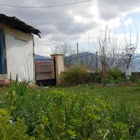 سفر به قلبِ ابر و مه‌ تور یک‌روزه منطقه کجور