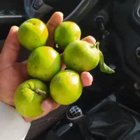 نیازمند کارگر جهت کار در میوه فروشی