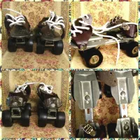 (اسکیت حرفه ای)