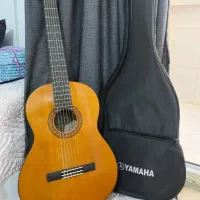 کیف گیتار نزدیک مترو بهار