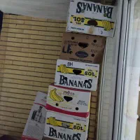 کارتون جا موز