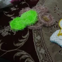 لیف و اسکاج