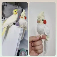 عروس هلندی بافتنی