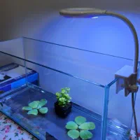 آکواریوم رومیزی با تجهیزات و ماهی