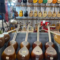 تار نو|سازهای سنتی|کرمان, |دیوار