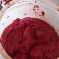 رب خانگی