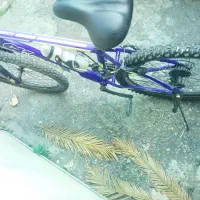 یک دستگا دوچرخه ۲۶|دوچرخه، اسکیت، اسکوتر|رشت, لاکان|دیوار