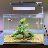 سفارش اکواریوم پلنت اکواریوم و مار