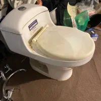 سرویس فرنگی