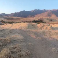 کاه گندم