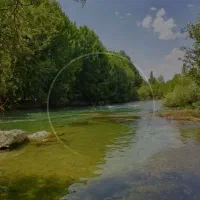 باغ فروشی مزرعه نو