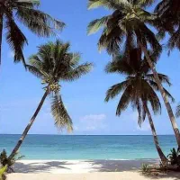 سفراقساطی بدون پیش پرداخت