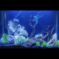 آکواریوم شیشه خم و پایه