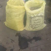 بار کفتر فروشی