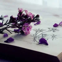 آموزشگاه زبان انگلیسی تخفیف ویژه فرصت محدود