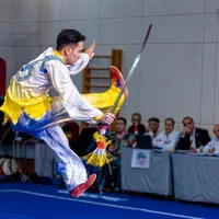 آموزش ووشو|خدمات آموزشی|قزوین, |دیوار