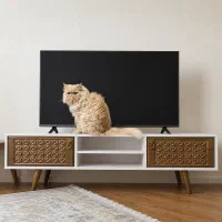 فروش میز تلویزیون و جاکفشی در حد نو