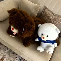 تعدادی عروسک نو و سالم کادویی