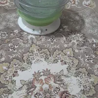 بخار پز همیلتون