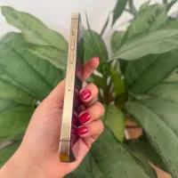 آیفون 13 پرو درحد نو دوسیم کارت|موبایل|رشت, امین الضرب|دیوار