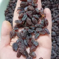 کشمش انگور قرمز کشمش بیدانه|خوردنی و آشامیدنی|ارومیه, |دیوار