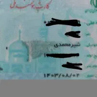 جا کارتی،شامل مدارک شناسایی گمشده