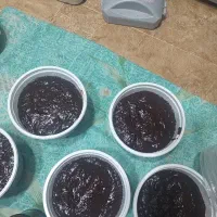 رب انار