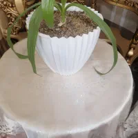 میز خاطره ها همراه با روکش|مبلمان خانگی و میز عسلی|اصفهان, جوزدان الیادران|دیوار