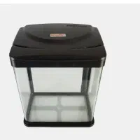 آروانا خوش سایز*فروش اکواریوم شرکتی|ماهی|زنجان, |دیوار