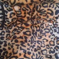 پتو دو نفره گلبافت|رختخواب، بالش، پتو|بروجرد, |دیوار