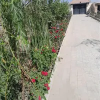 اجاره روزانه/هفتگی/باغ استخر دار فول امکانات|اجارهٔ کوتاه‌مدت ویلا و باغ|مشهد, چهاربرج|دیوار