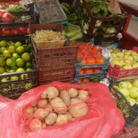 میوه فروشی نادری مجلس