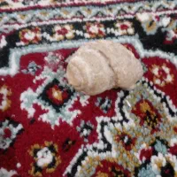 انگشتر عقیق زرد وحلقه باقدمت بیش از۳۰ سال