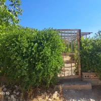 باغ تفریحی 1000متری