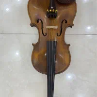 ویولن