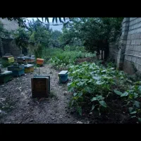 زمین مسکونی داخل شهر