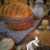 شاطر نان بربری