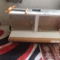 هود|هود|تربتحیدریه, قاسم آباد|دیوار