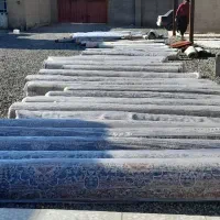 قالیشویی بهار