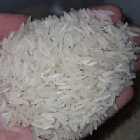 برنج آستانه و هاشمی درباری و فجر گرگان|خوردنی و آشامیدنی|تهران, قیام‌دشت|دیوار