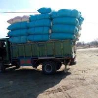 فروش کاه درجه 1گندم