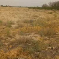 فروش یا معاوضه زمین با آب چاه موتور