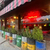 گلدون بشکه ای