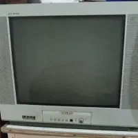 تلویزیون
